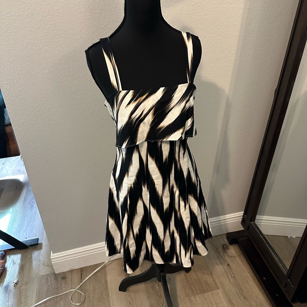 Banana Republic Black and White Mini Dress
